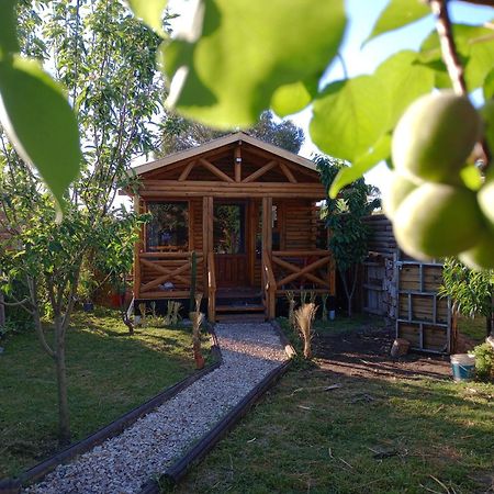 Foresta Acantilados, Casa Container Y Cabana De Troncos Mar del Plata Exterior photo