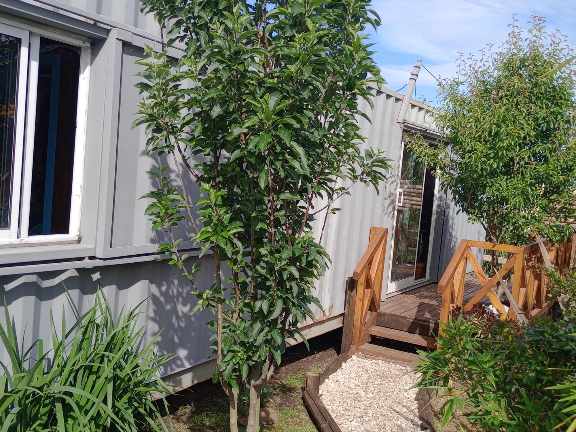 Foresta Acantilados, Casa Container Y Cabana De Troncos Mar del Plata Exterior photo